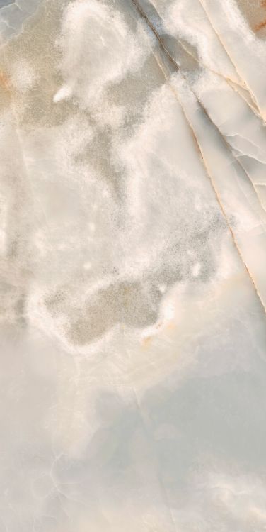 Reves Noisette Matte 24 x 48